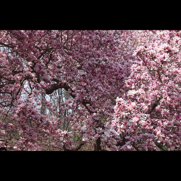 Meet your Posher, Roger - Picture 1 of 1